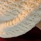 https://dogjoa85.net/data/file/best/thumb-15793707056897_80x80.png