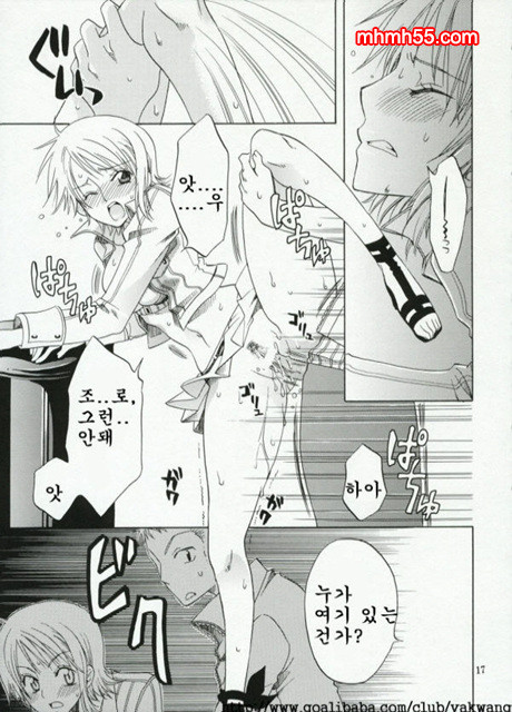 원피스 동인지 06_by 망가 이미지 #16