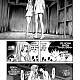 https://dogjoa85.net/data/file/manga/thumb-16667544033847_80x80.jpg