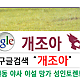 https://dogjoa85.net/data/file/study/thumb-15916620204625_80x80.png